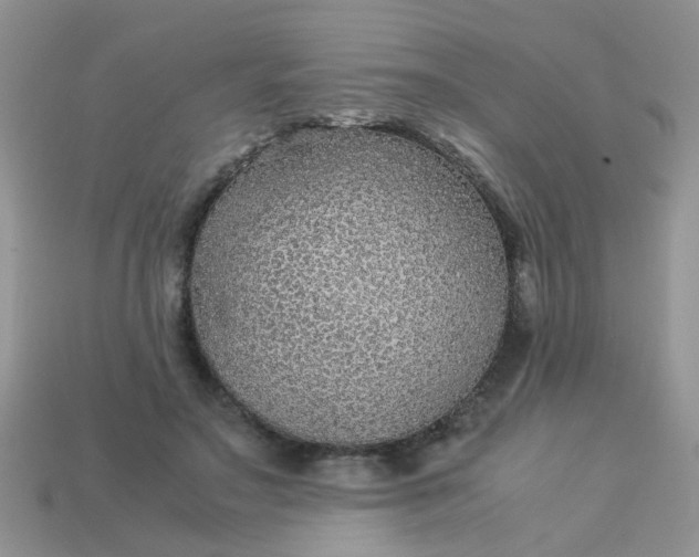 X0000113040499200909101921