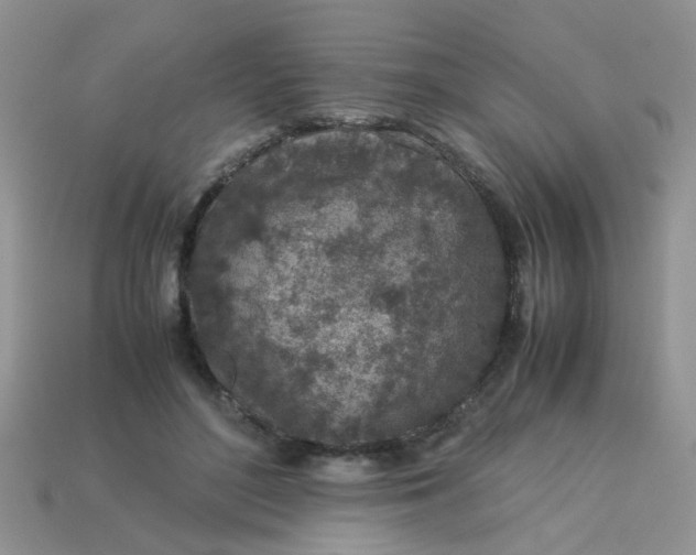 X0000113040500200909101921