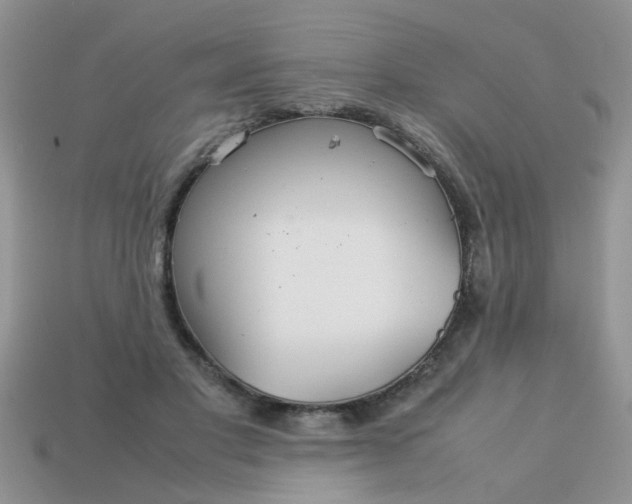 X0000113040501200909101921