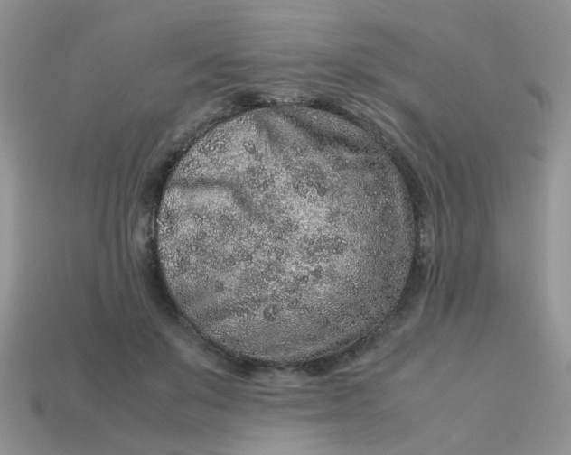 X0000113040503200909101921