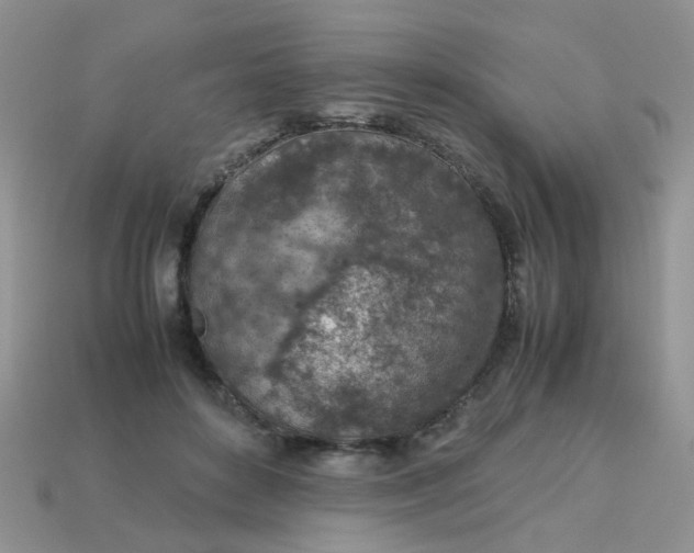 X0000113040504200909101921
