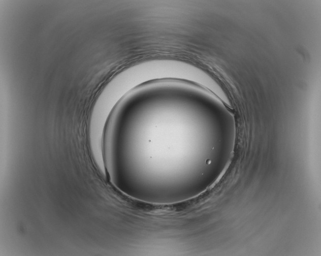 X0000113040505200909101921