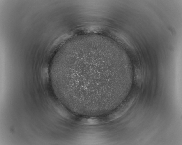X0000113040506200909101921