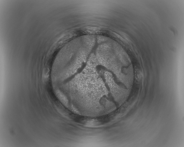 X0000113040507200909101921