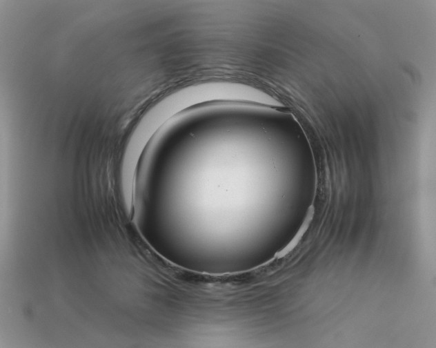 X0000113040508200909101921