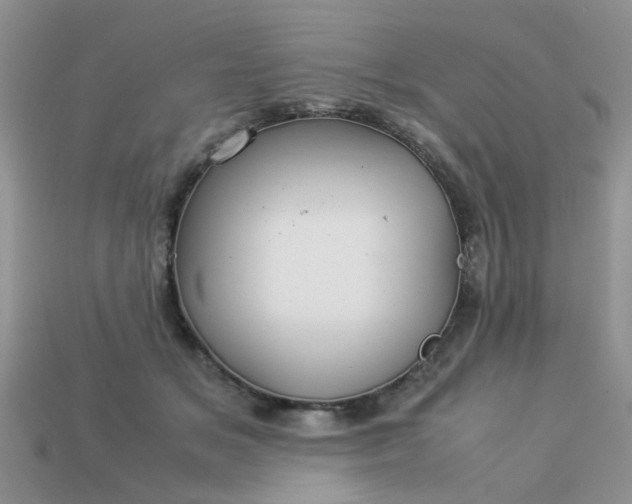 X0000113040509200909101921