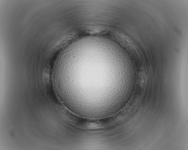 X0000113040510200909101921