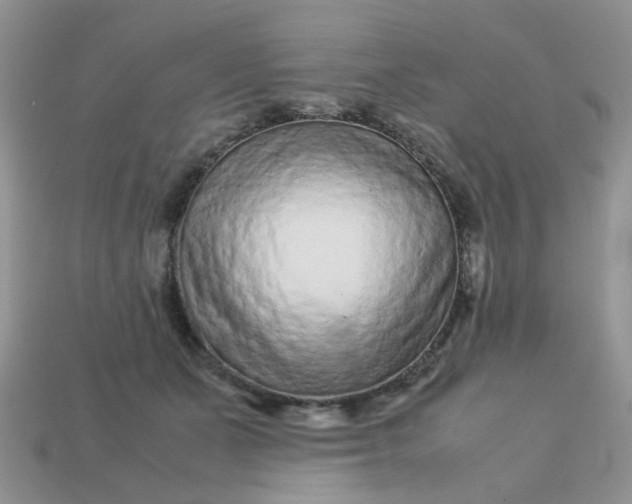 X0000113040511200909101921