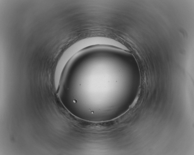 X0000113040512200909101921