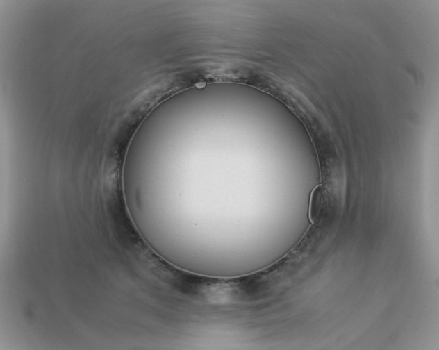 X0000113040513200909101921