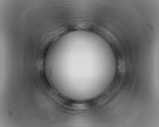 X0000113040514200909101920