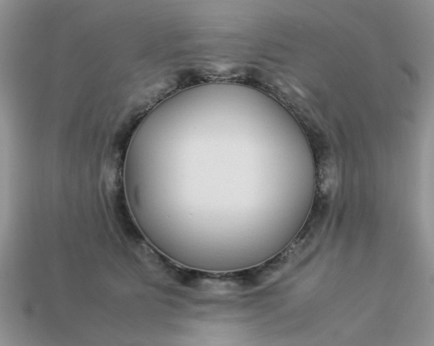 X0000113040515200909101920