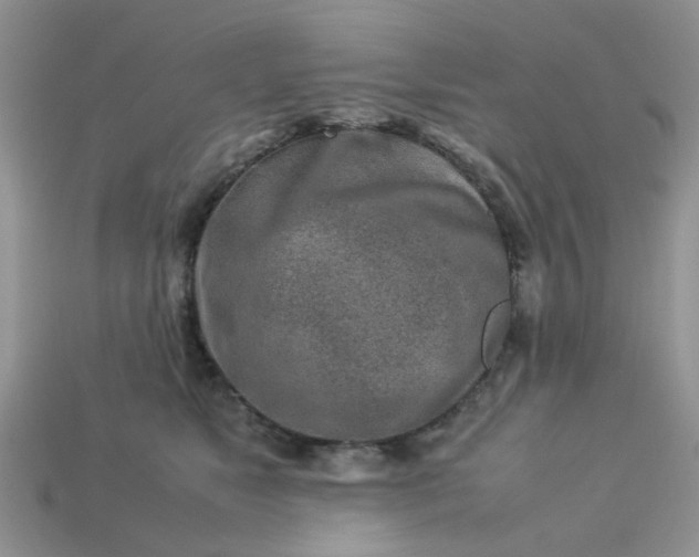 X0000113040517200909101920