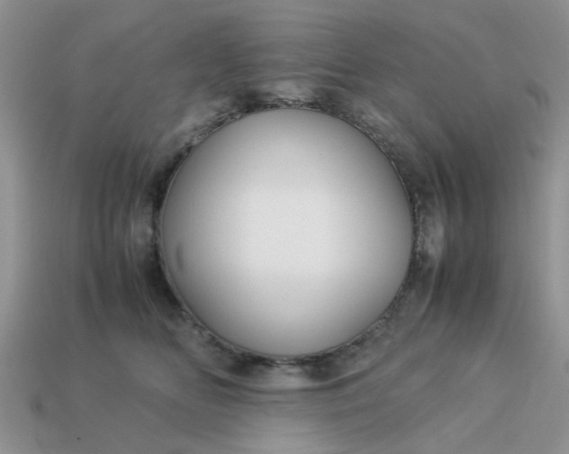 X0000113040518200909101920