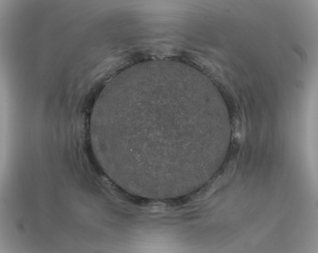 X0000113040519200909101920