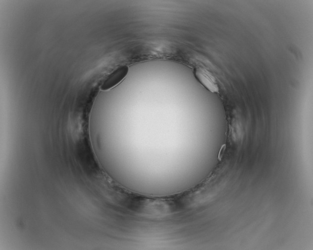 X0000113040520200909101920