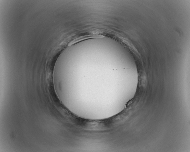 X0000113040521200909101920