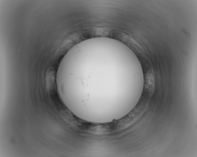 X0000113040522200909101920