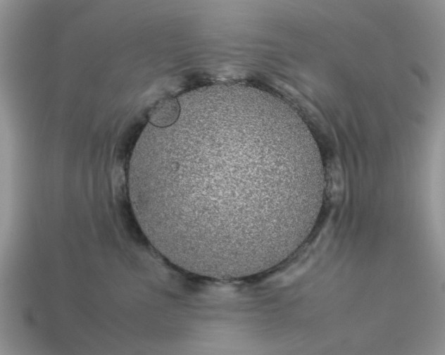 X0000113040523200909101920