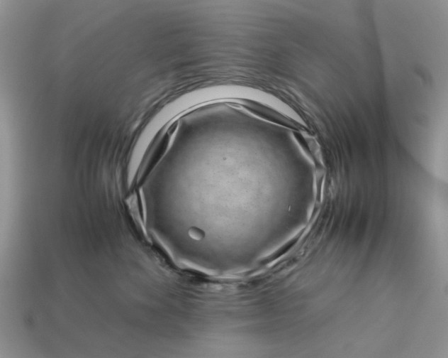 X0000113040524200909101920