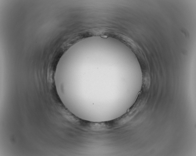 X0000113040525200909101920