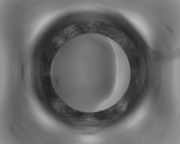 X0000113040526200909101920