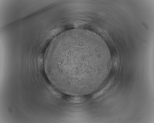 X0000113040527200909101920