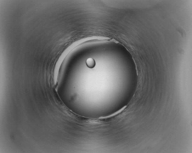 X0000113040528200909101920