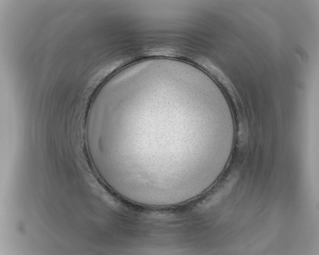 X0000113040529200909101920