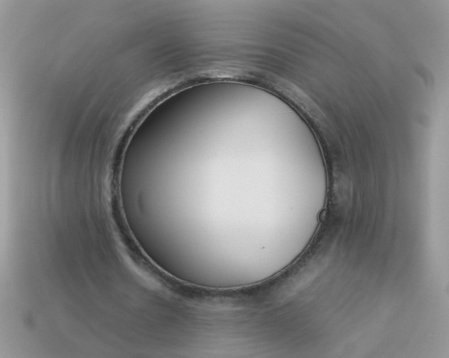 X0000113040530200909101920