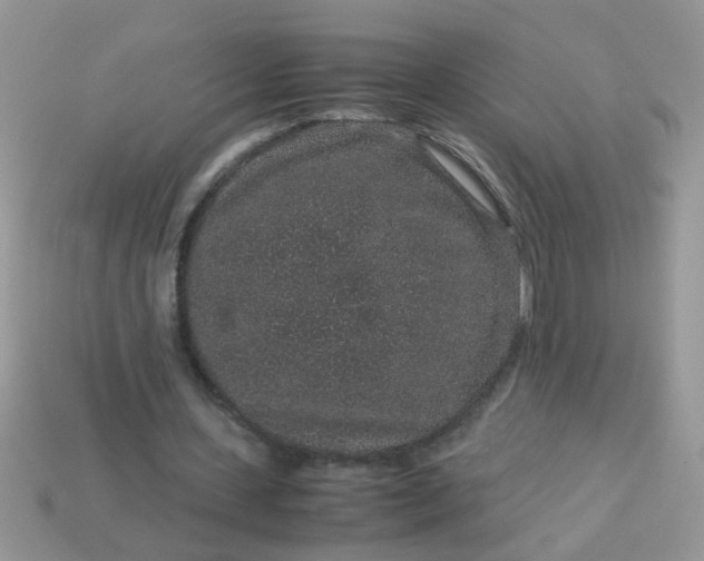 X0000113040531200909101920