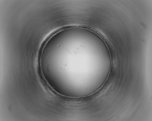X0000113040532200909101920