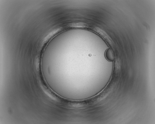 X0000113040533200909101920