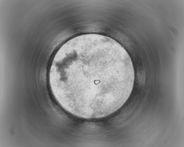 X0000113040534200909101920