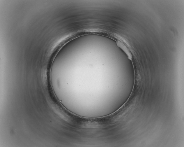 X0000113040535200909101920