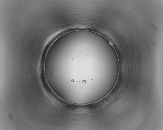X0000113040536200909101920