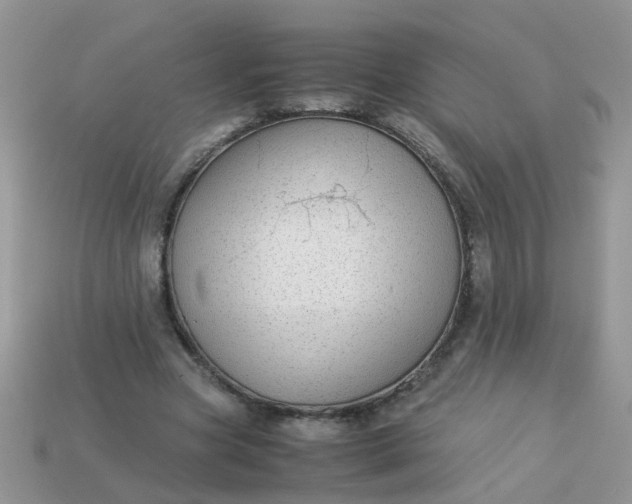 X0000113040537200909101920