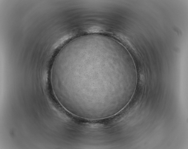 X0000113040539200909101920