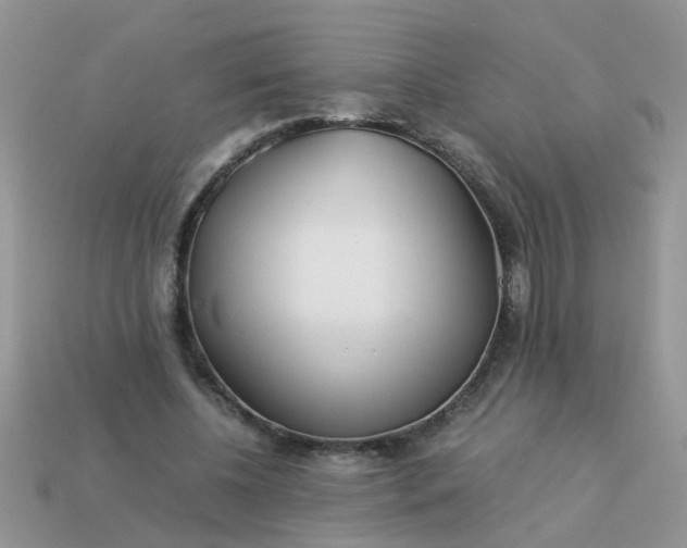 X0000113040540200909101920