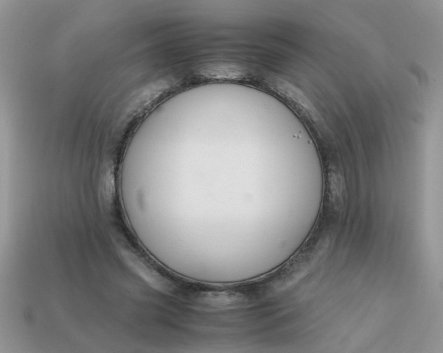 X0000113040541200909101920