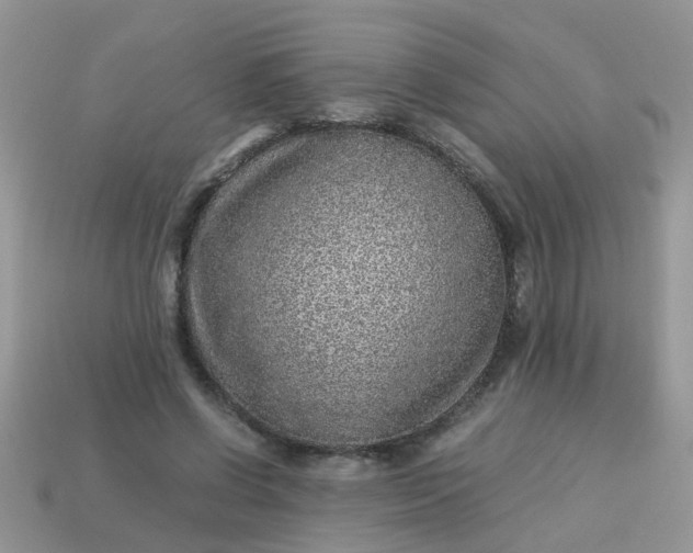 X0000113040542200909101920