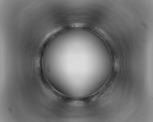 X0000113040543200909101920