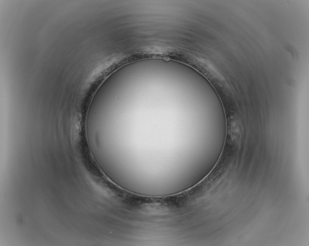 X0000113040544200909101920