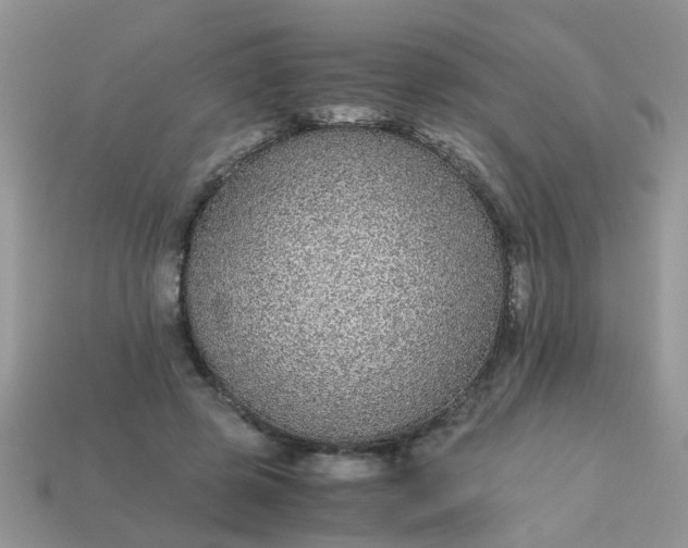 X0000113040545200909101920