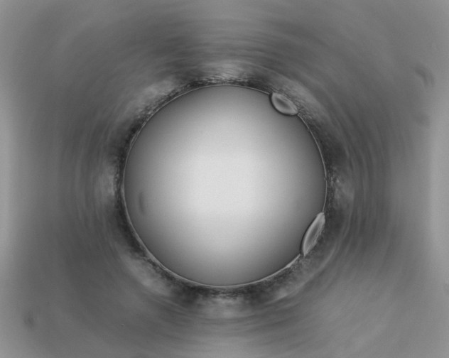 X0000113040546200909101920