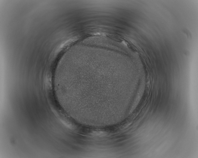 X0000113040547200909101920