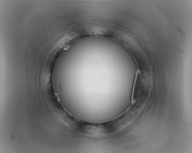 X0000113040548200909101920