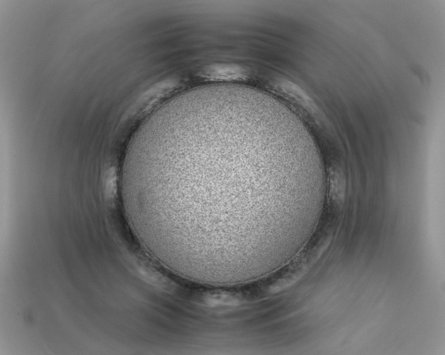 X0000113040549200909101920