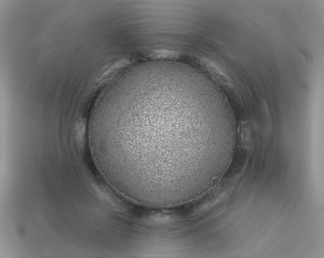 X0000113040550200909101920