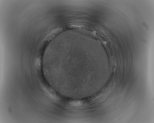 X0000113040551200909101920